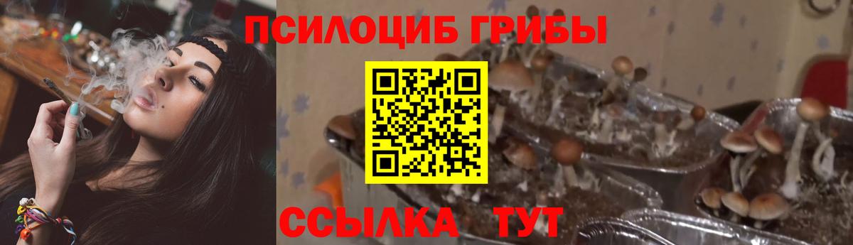 Каннабис  Кокаин  Рузаевка  Меф МЯУ МЯУ  Альфа ПВП СОЛЬ кристаллы  Вход с VPN  Гашиш  Мефедрон кристаллы 